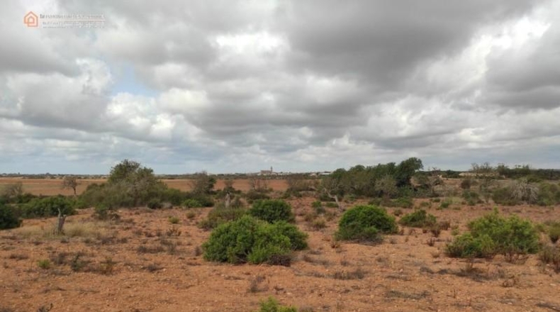Balearic Islands - Las Salinas - 16050m2