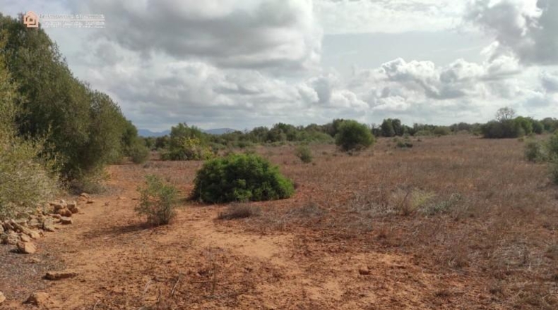 Balearic Islands - Las Salinas - 16050m2