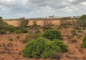 Terreno no urbanizable en venta en la España, Santanyí, ref: TR130755 foto