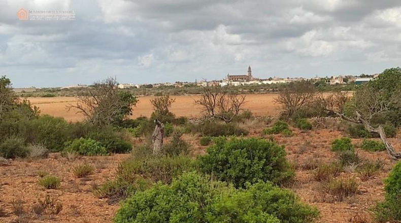 Balearic Islands - Las Salinas - 16050m2