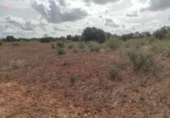 Terreno no urbanizable en venta en la España, Santanyí, ref: TR130755 foto