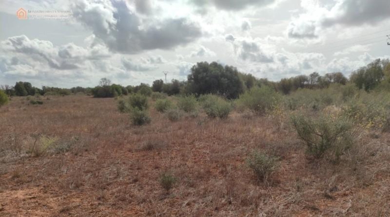 Balearic Islands - Las Salinas - 16050m2