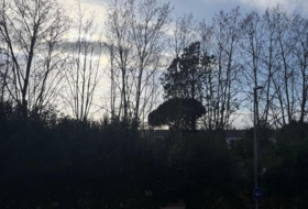 Foto 15