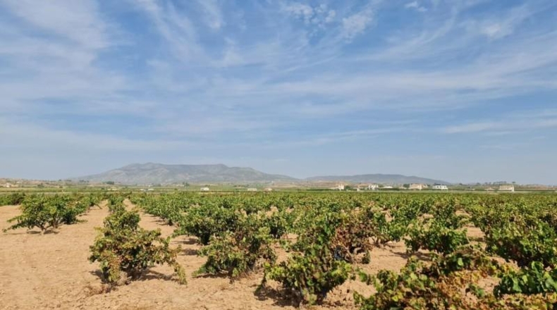 Alicante - Elx - 70m2