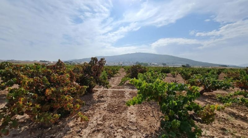 Alicante - Elx - 70m2