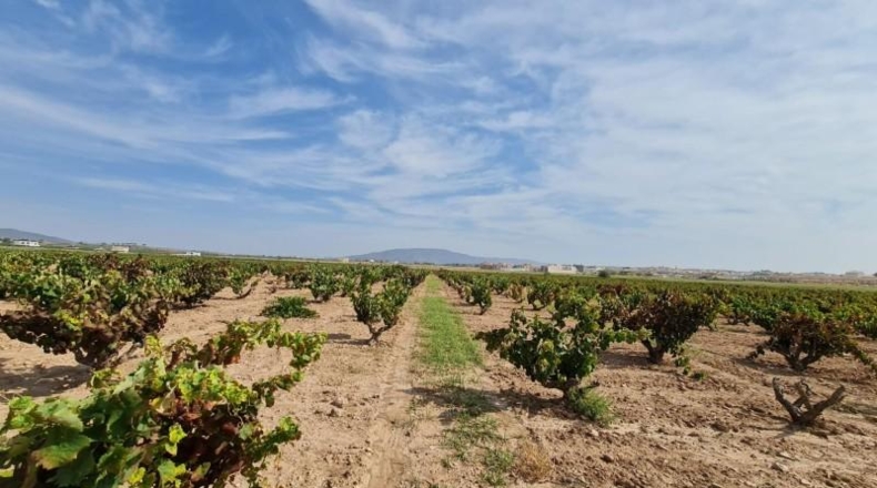 Alicante - Elx - 70m2