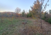 Chalet independiente con terreno en venta en la España, San Román de Bembibre, ref: TR240436 foto