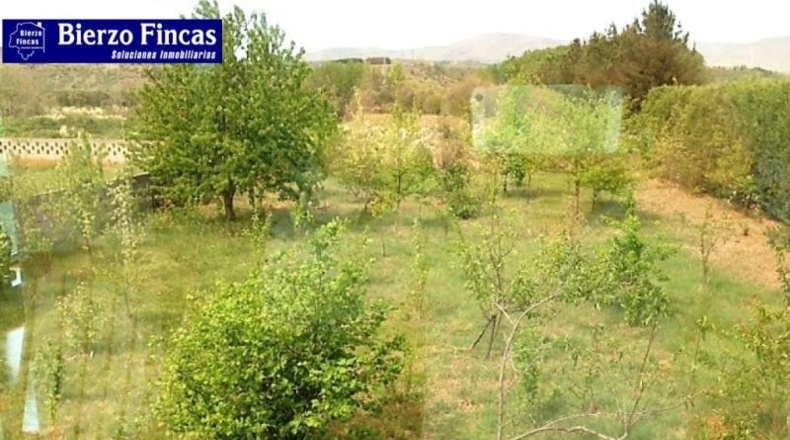 León - Bembibre - 1500m2
