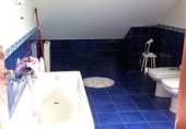 Detached villa with land for sale on España, San Román de Bembibre, ref: TR311607 photo