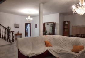 Foto 20