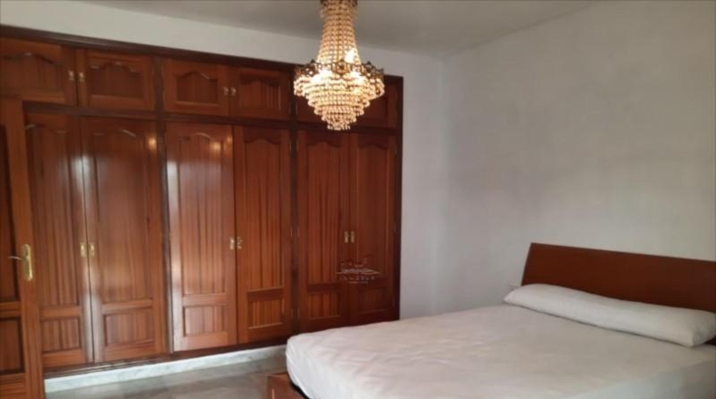 Córdoba - Lucena - 650m2