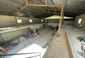 Foto 10