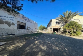 Foto 15
