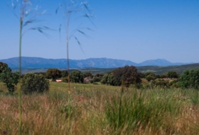 Navalperal de Pinares 27000&nbsp;m²