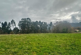 Ribadesella 4586&nbsp;м²