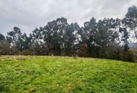 Ribadesella 4586&nbsp;м²