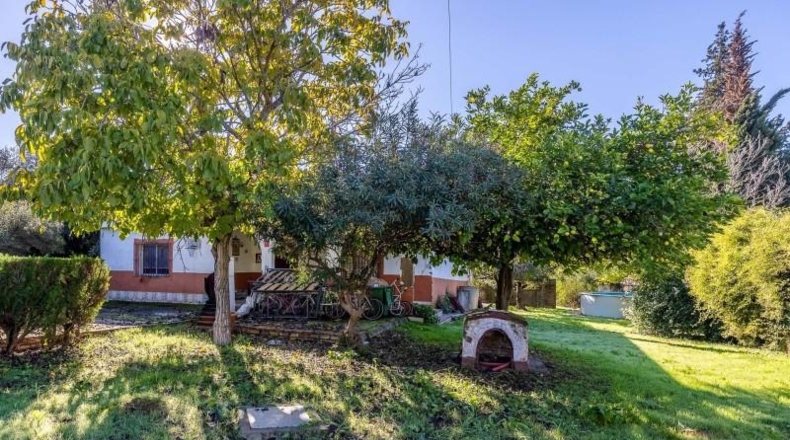 Sevilla - Palomares del Río - 2383m2