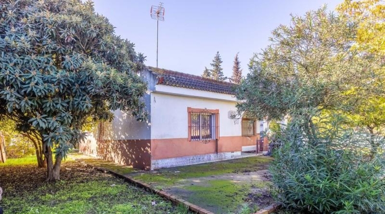 Sevilla - Palomares del Río - 2383m2