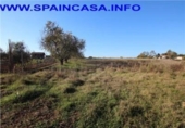 Terreno no urbanizable en venta en la España, Punta Umbría, ref: TR112869 foto