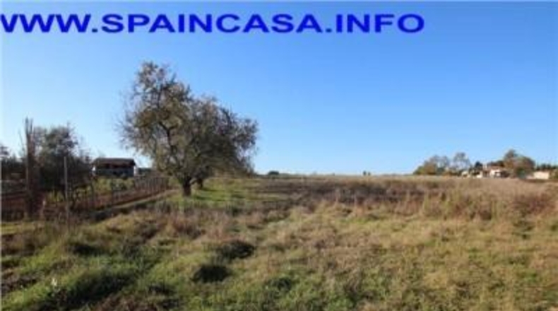 Huelva - Punta Umbría - 18176m2