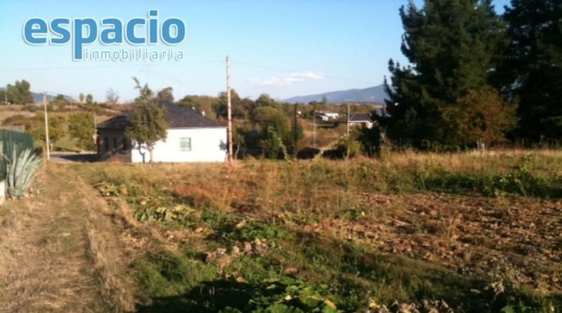 León - Cabañas Raras - 6000m2
