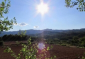 Участок с постройкой на продажу в городе Sant Llorenç Savall Фото