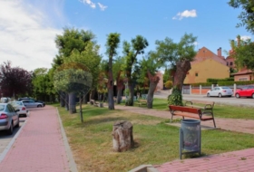 Foto 15