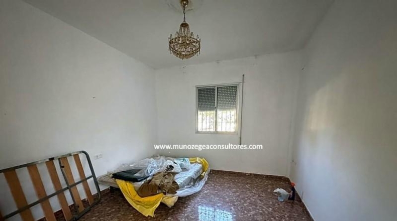 Cordova - Lucena - 1000m2