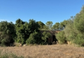 Chalet independiente con terreno en venta en la España, Costitx, ref: TR316318 foto