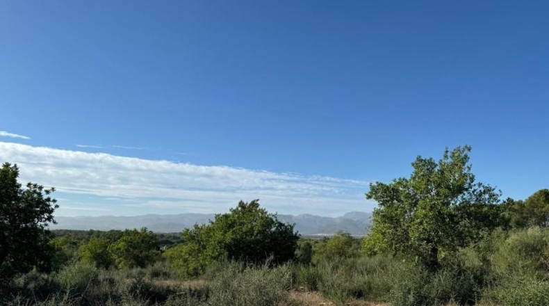 Islas Baleares - Costitx - 42511m2