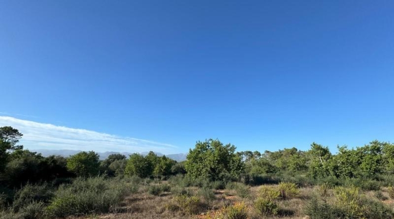 Islas Baleares - Costitx - 42511m2