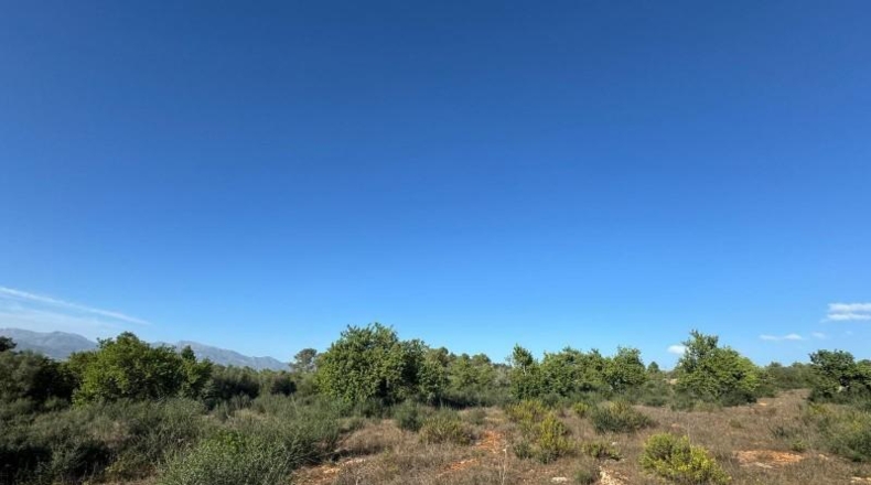 Islas Baleares - Costitx - 42511m2