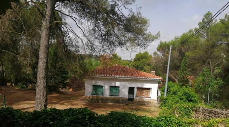Valencia - Buñol - 6979m2