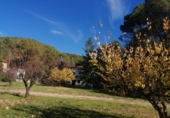 Chalet independiente con terreno en venta en la España, Buñol, ref: TR168482 foto