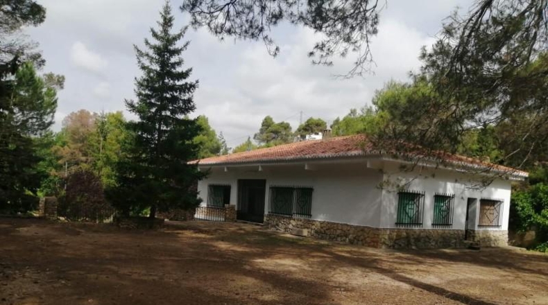 Valencia - Buñol - 6979m2