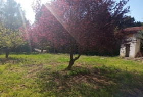 Foto 13