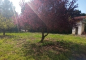 Chalet independiente con terreno en venta en la España, Buñol, ref: TR168482 foto