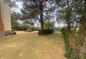 Chalet independiente con terreno en venta en la España, Albacete, ref: TR177825 foto