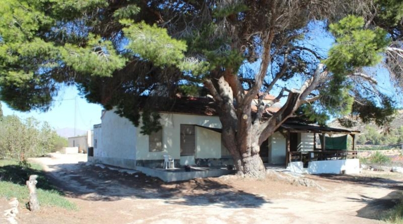 Alicante - Jacarilla - 33000m2