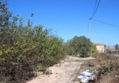 Parcela urbanizable en venta en la España, Jacarilla, ref: TR218912 foto