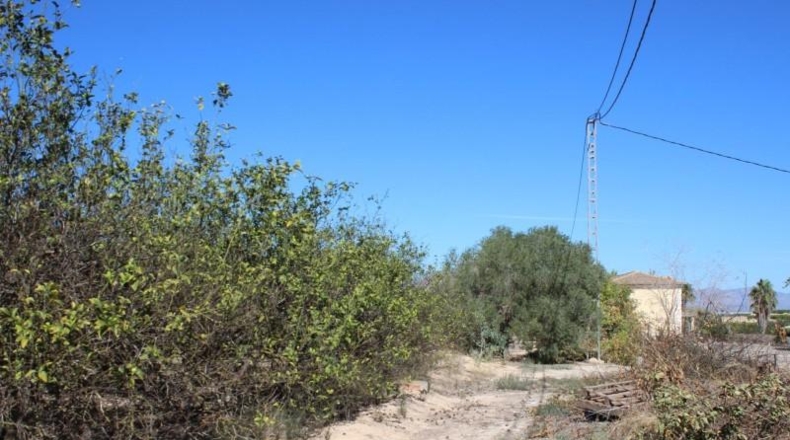 Alicante - Jacarilla - 33000m2