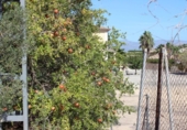 Parcela urbanizable en venta en la España, Jacarilla, ref: TR218912 foto