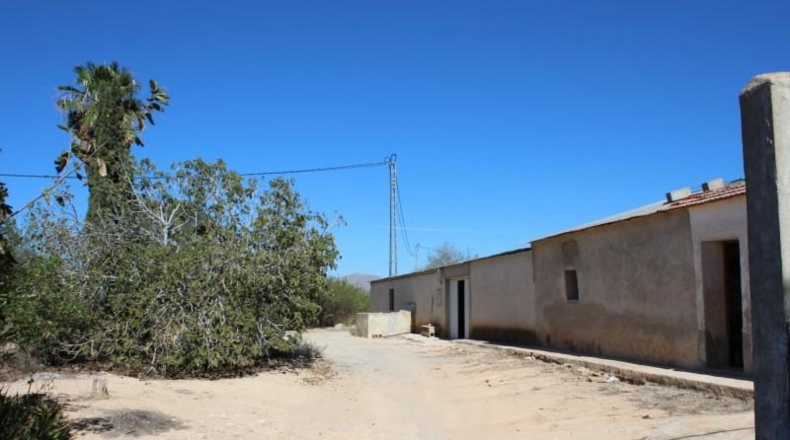 Alicante - Jacarilla - 33000m2