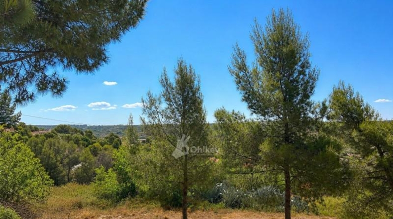 Community of Madrid - Chinchón - 518m2