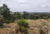 Land suitable for development for sale on España, Garrafe de Torío, ref: TR124262 photo