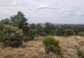 Land suitable for development for sale on España, Garrafe de Torío, ref: TR124262 photo