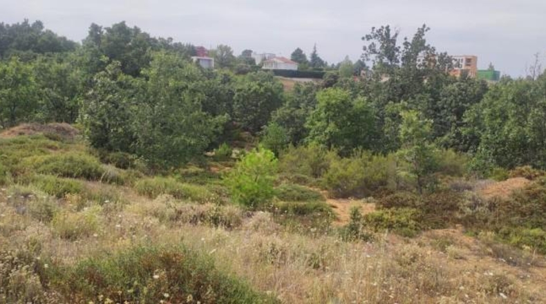 Leon - Garrafe de Torío - 30557m2