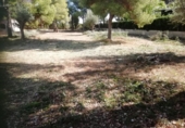 Terreno no urbanizable en venta en la España, Bétera, ref: TR395478 foto