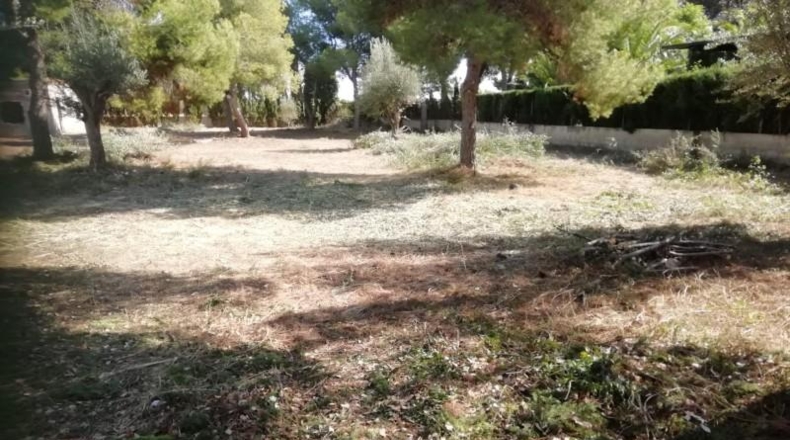 València - Bétera - 1446m2
