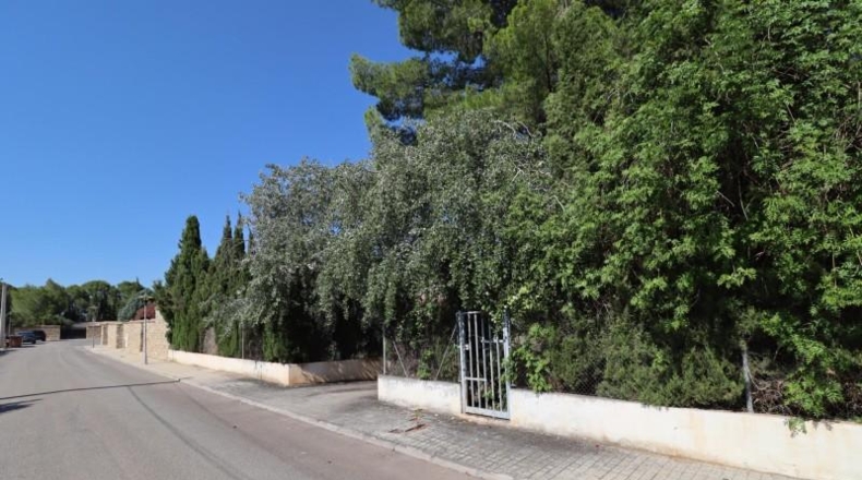 València - Bétera - 1446m2